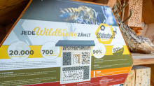 Wildbienen Informationsstand / Arztal, Ellbögen, Tirol, Österreich