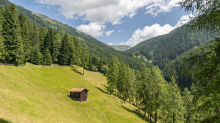 Arztal, Ellbögen, Tirol, Österreich