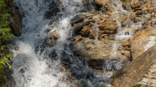 kleiner Wasserfall / Gebirgsbach / Arztal, Ellbögen, Tirol, Österreich