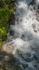 kleiner Wasserfall / Gebirgsbach / Arztal, Ellbögen, Tirol, Österreich