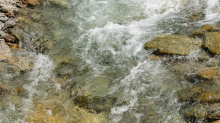 Gebirgsbach / Falggasanerbach im Arztal, Ellbögen, Tirol, Österreich