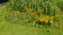 Blumenwiese / Kurpark Igls, Innsbruck, Tirol, Österreich