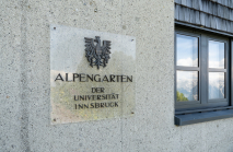 Alpengarten der Universität Innsbruck, Patscherkofel, Tirol, Österreich