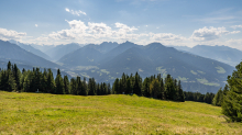 Skiabfahrt im Sommer / Patscherkofel, Tirol, Österreich