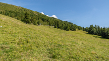 Skilift, Skiabfahrt im Sommer / Patscherkofel, Tirol, Österreich