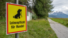 Hinweisschild: Leinenpflicht für Hunde!