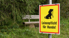 Hinweisschild: Leinenpflicht für Hunde!