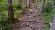 Downhill-Trail / Paschberg, Lans, Innsbruck, Tirol, Österreich