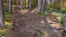 Downhill-Trail / Paschberg, Lans, Innsbruck, Tirol, Österreich