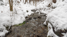 Viller Bach, Ramsbach / Ullwald, Igls, Innsbruck, Tirol, Österreich