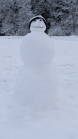 Schneemann / Igls, Innsbruck, Tirol, Österreich