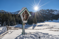 Kreuz bei der Ochsenalm unterhalb von Maria Waldrast, Mützens, Mühlbachl, Tirol, Österreich