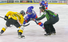 HC TWK Innsbruck-Die Haie - HC Pustertal Wölfe