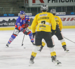 HC TWK Innsbruck-Die Haie - HC Pustertal Wölfe