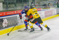 HC TWK Innsbruck-Die Haie - HC Pustertal Wölfe