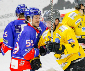 HC TWK Innsbruck-Die Haie - HC Pustertal Wölfe