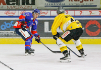 HC TWK Innsbruck-Die Haie - HC Pustertal Wölfe