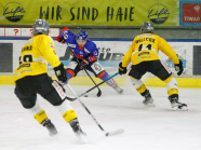 HC TWK Innsbruck-Die Haie - HC Pustertal Wölfe