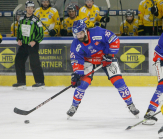 HC TWK Innsbruck-Die Haie - HC Pustertal Wölfe