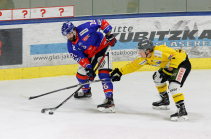 HC TWK Innsbruck-Die Haie - HC Pustertal Wölfe