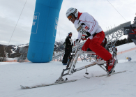 Skibobfahrer / Seefeld, Tirol, Österreich