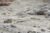 Murenabgang nach Unwetter in Mieders im Stubaital, Stubai, Tirol, Österreich