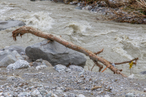 Murenabgang nach Unwetter in Mieders im Stubaital, Stubai, Tirol, Österreich