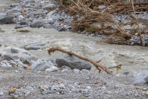 Murenabgang nach Unwetter in Mieders im Stubaital, Stubai, Tirol, Österreich