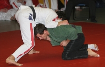 Österreichische Judo Bundesliga / Halbfinale