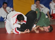 Österreichische Judo Bundesliga / Halbfinale