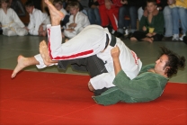 Österreichische Judo Bundesliga / Halbfinale